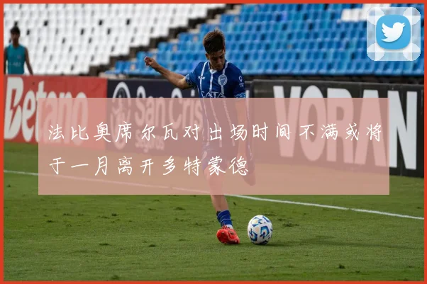 法比奥席尔瓦对出场时间不满或将于一月离开多特蒙德